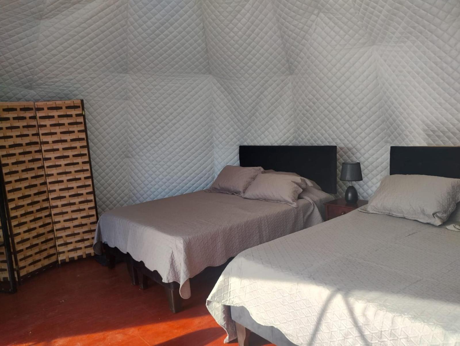 Glamping Domos Rapel